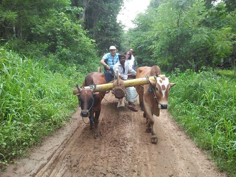 NATURE WALK - VILLAGE TOUR